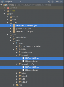 jar包和so文件的位置
